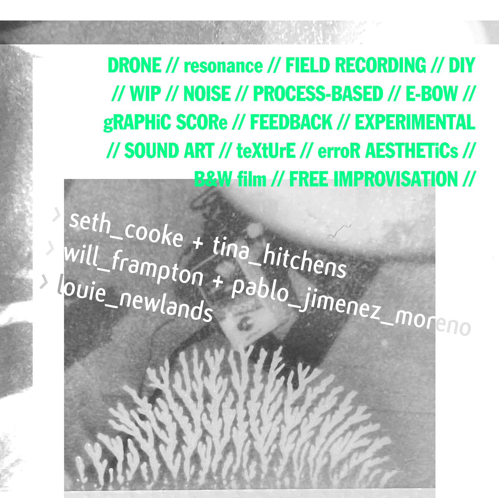 Seth Cooke+Tina Hitchens//Will Frampton+Pablo JimenezMoreno//Louie Newlands at Cafe Kino