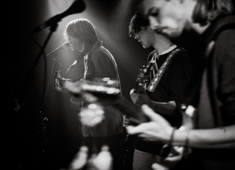 Nervous Horse at The Star and Dove