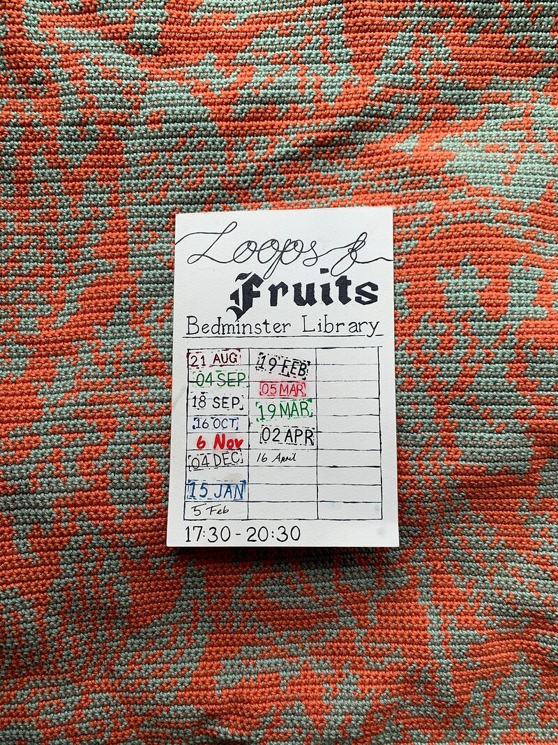 Loops & Fruits QUEER Fibre Arts Club at Bedminster Library