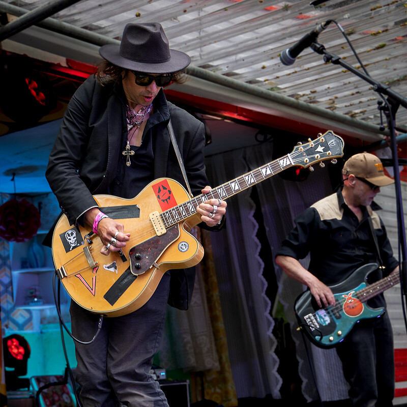 Johnny Lizard And The Snakes at The Greyhound Fishponds