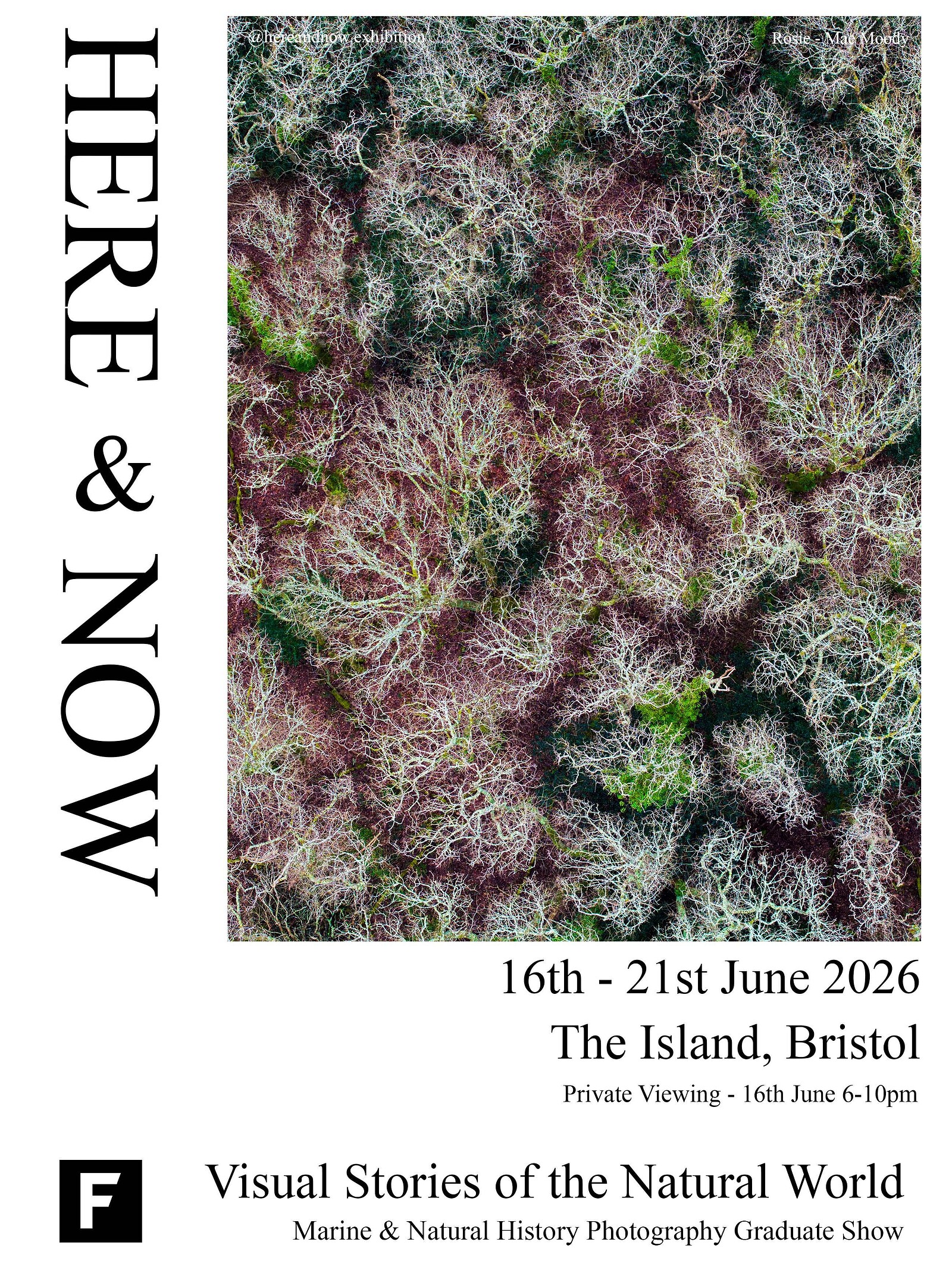 Here and Now at The Island