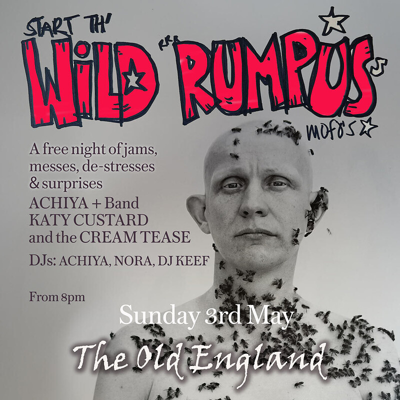 The Wild Rumpus at The Old England Pub
