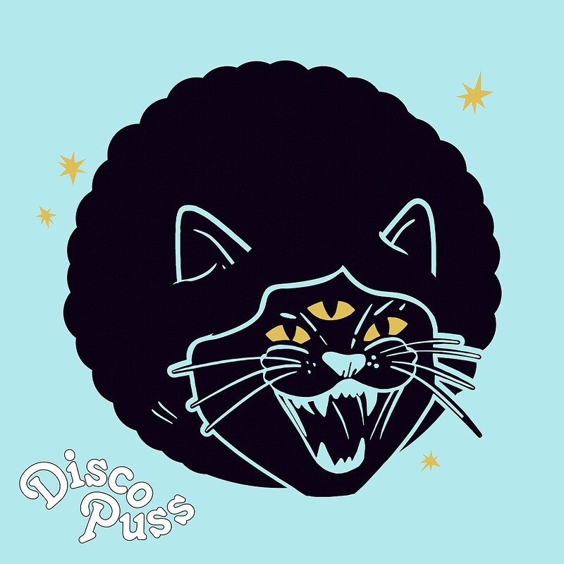 DISCO PUSS at Lost Horizon