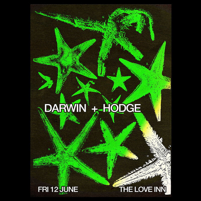 Darwin b2b Hodge