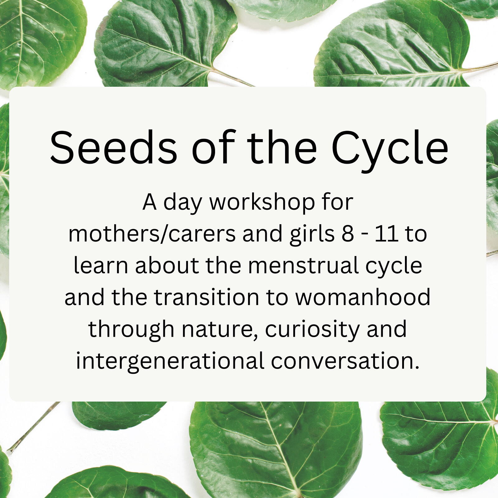 Seeds of the Cycle at Leigh Court Farm BS8 3RA