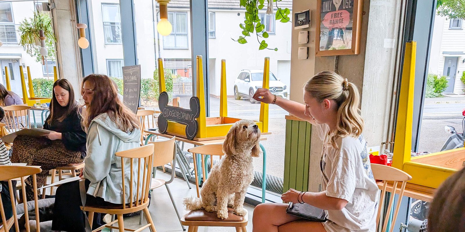 Life Drawing with Dogs at Boston Tea Party, Unit 7, The Square, Long Down Ave, Stoke Gifford, Bristol BS16 1GU