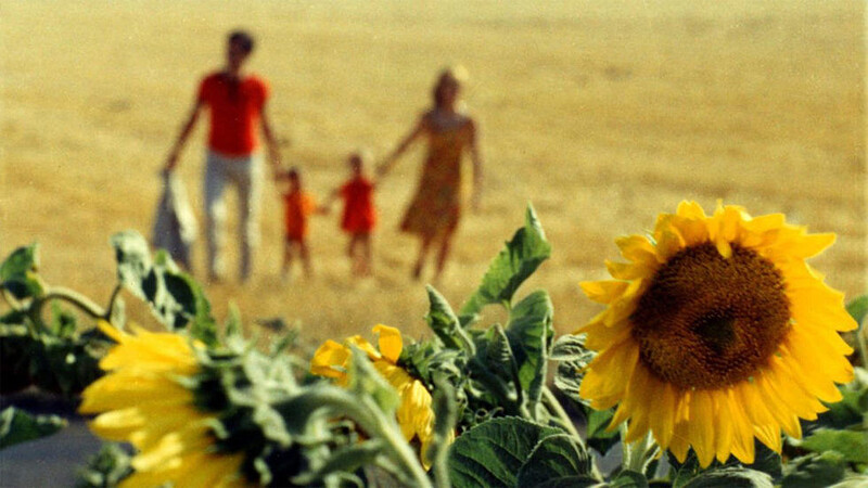 Le Bonheur  7PM at The Cube