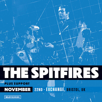 The Spitfires