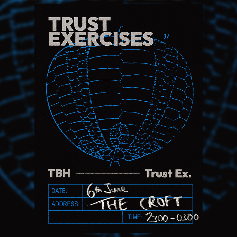 Trust Exercises at The Croft