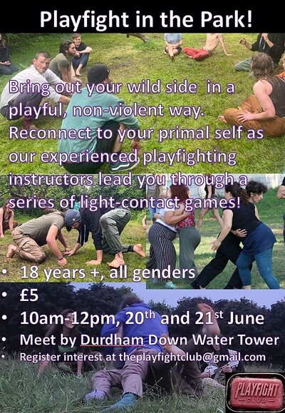 Adult Playfight in the Park at Durdham Downs