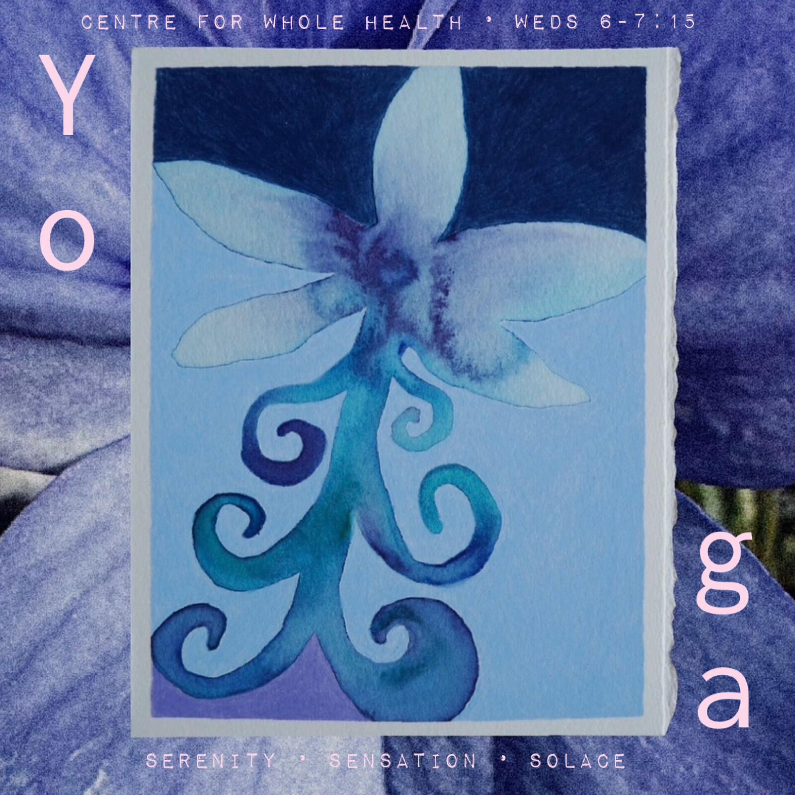 Bloom into Being: Community Yoga Class at Centre for Whole Health, Bedminster