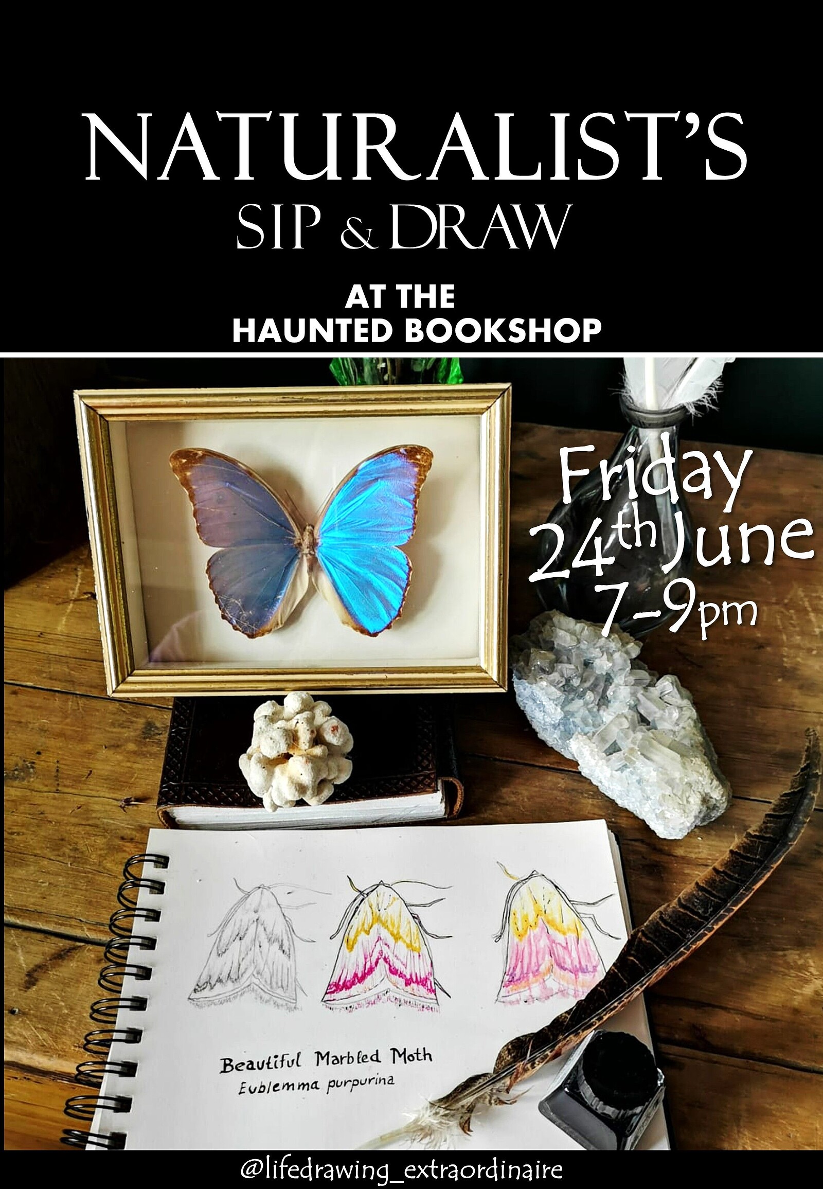 Naturalist's Sip & Draw at The Haunted Bookshop