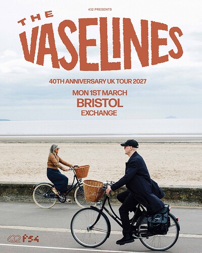 The Vaselines