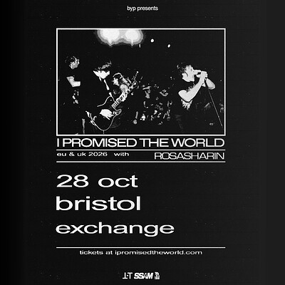 I Promised The World