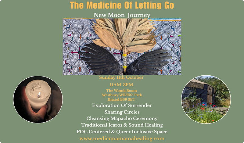 The Medicine Of Letting Go at The Womb Room, Westbury Wildlife Park