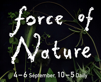 Force of Nature exhibition at KIT FORM