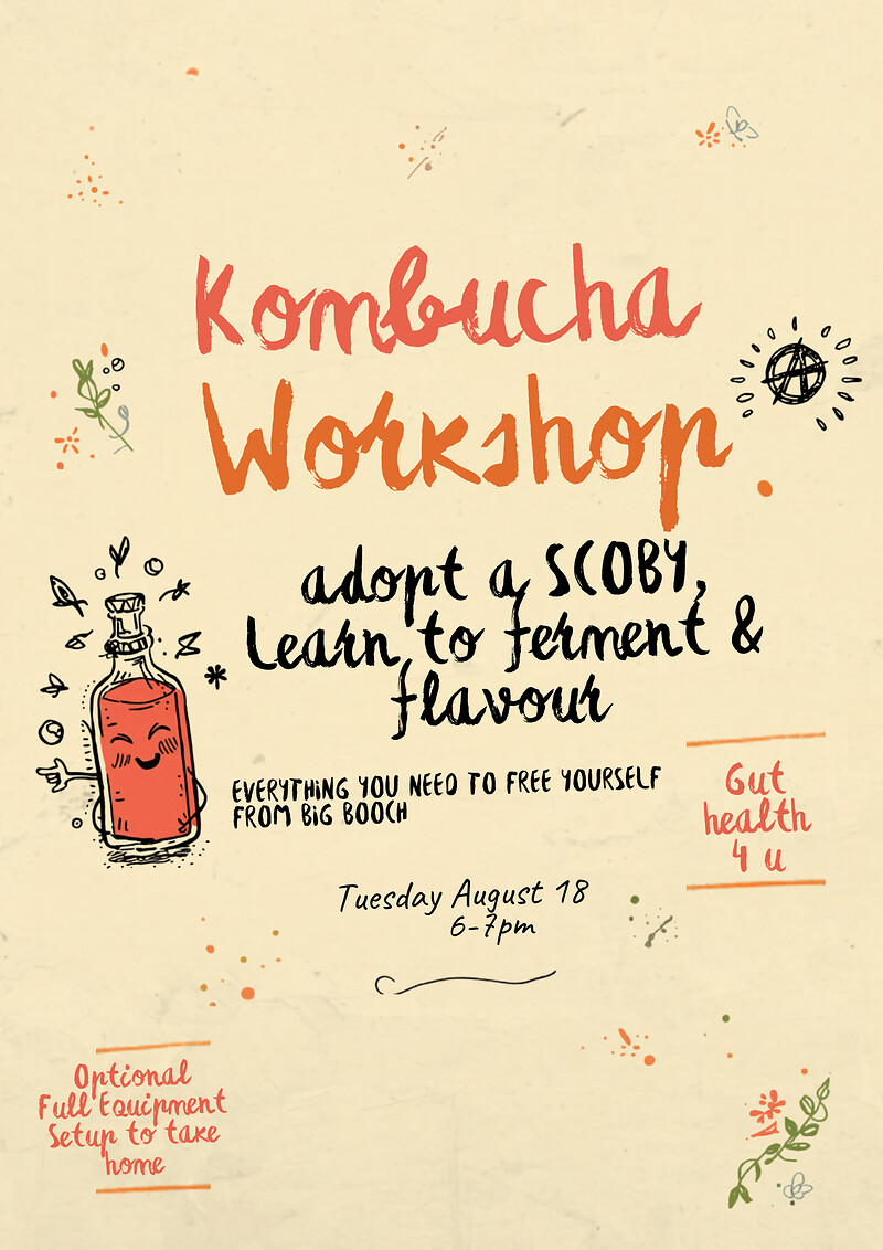 Homemade Kombucha Workshop at Phoebe's living room