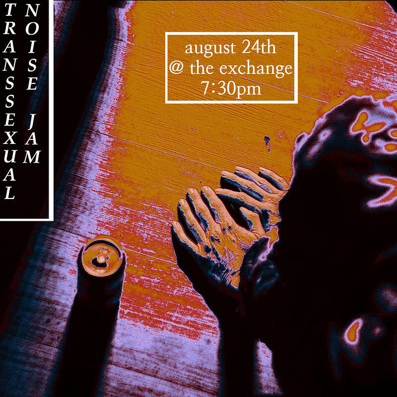TRANSEXUAL NOISE JAM at Exchange