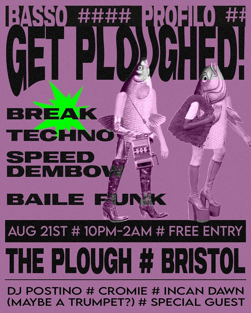 BASSO PROFILO at The Plough Inn