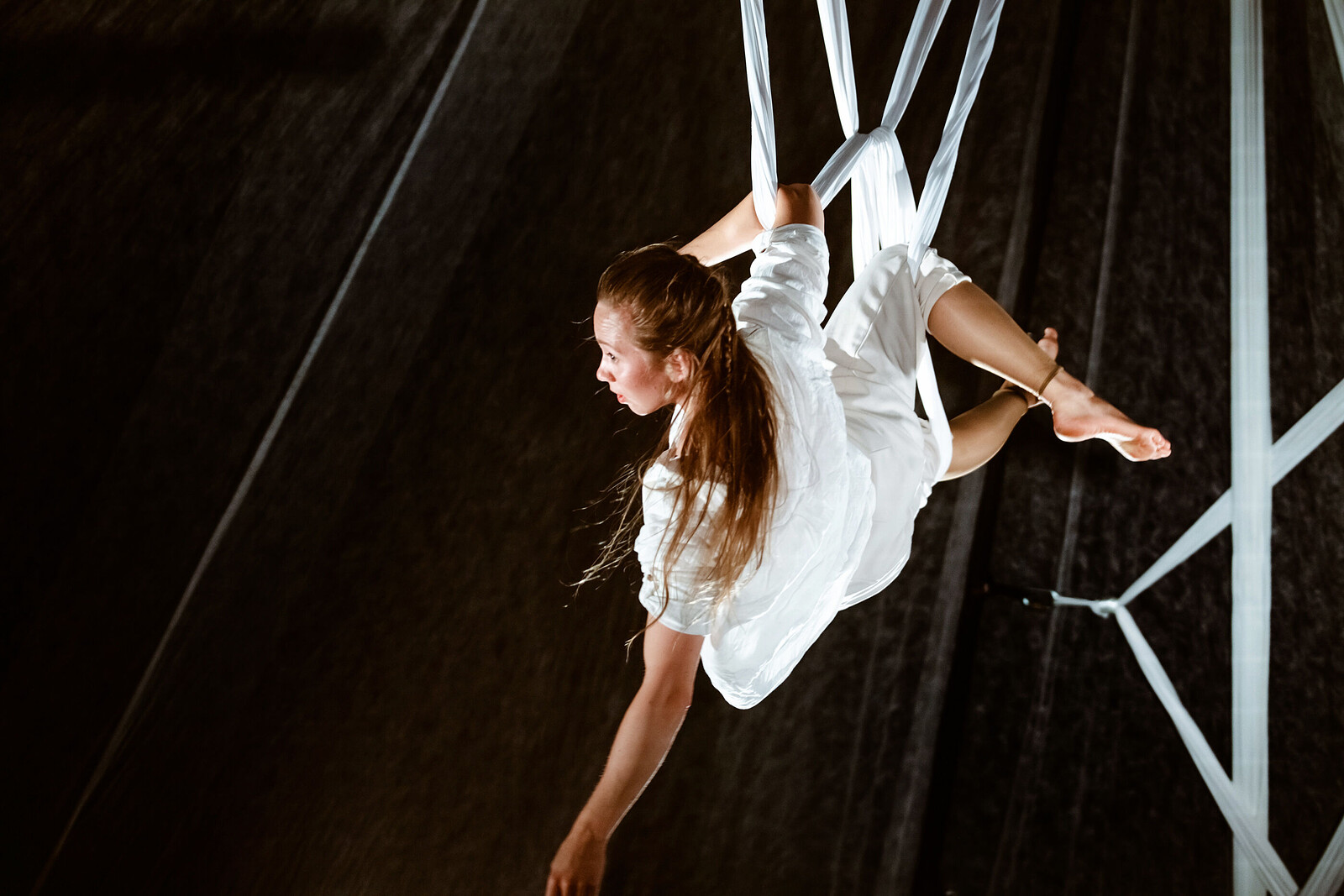 Lightgarden // Big Wolf Company at Circomedia