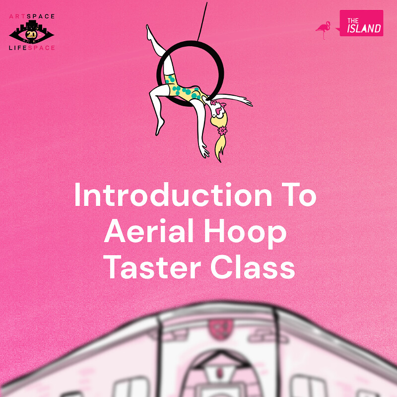 Intro To Aerial Hoop Taster Class at The Island
