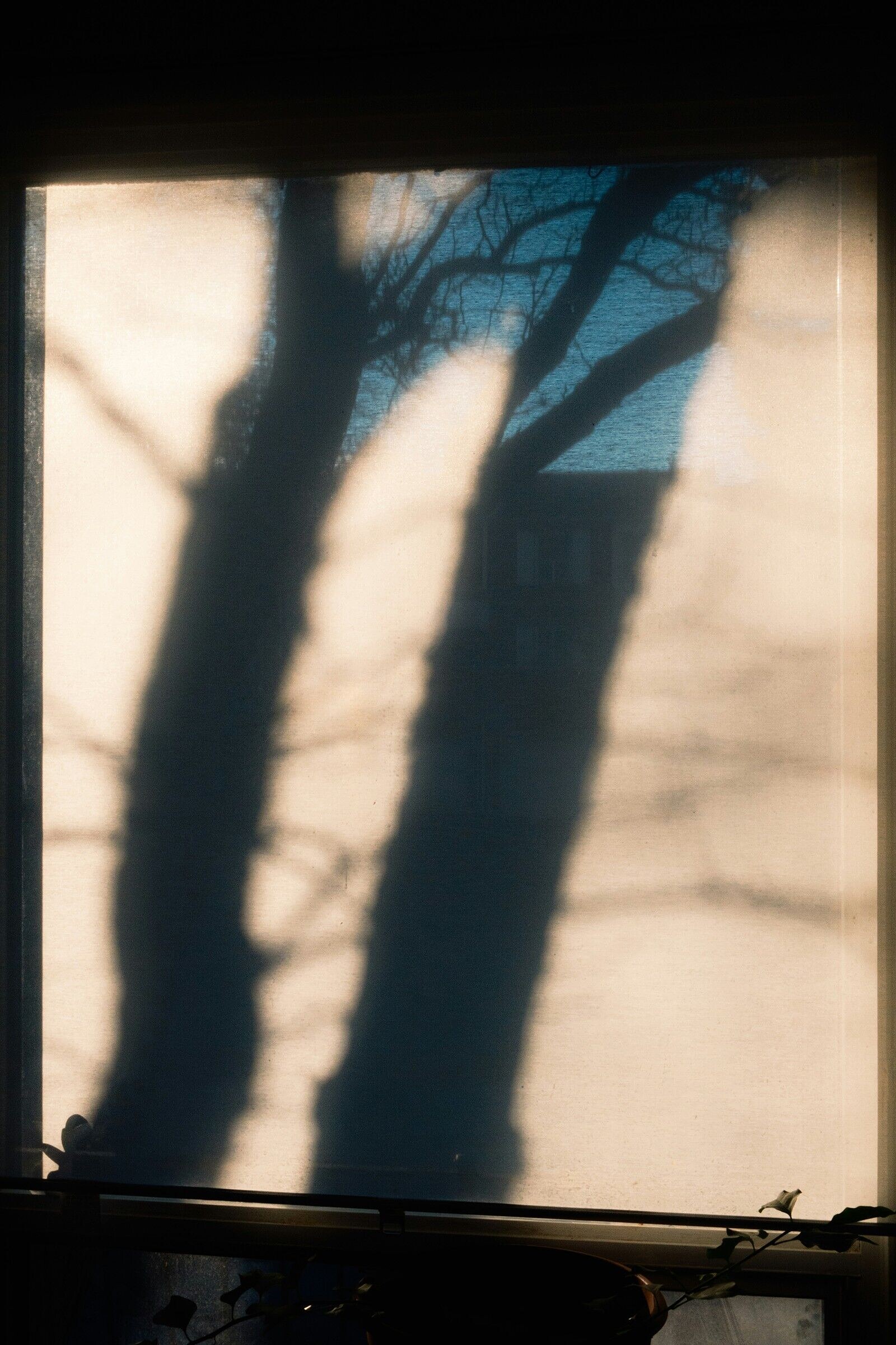 Shadow Work: Exploring the Unconscious Through Creativity at St George's Bristol