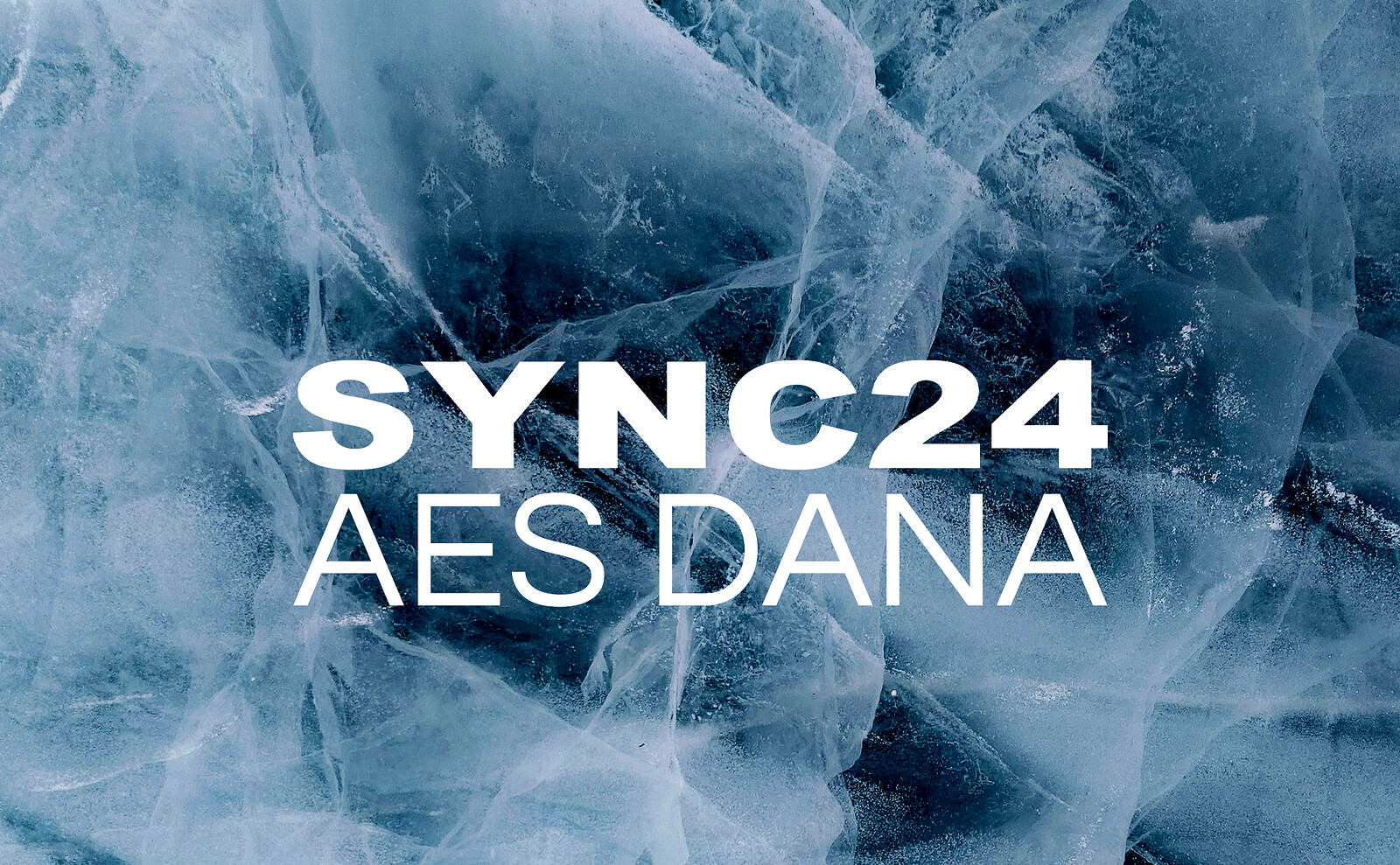 Sync24 + AES Dana at Strange Brew