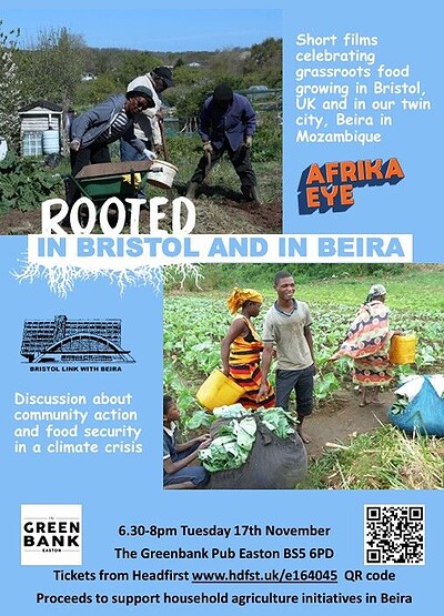 Rooted in Bristol Film Screening & Panel Discussion/Twin Cities Fundraiser at The Greenbank Pub, Easton