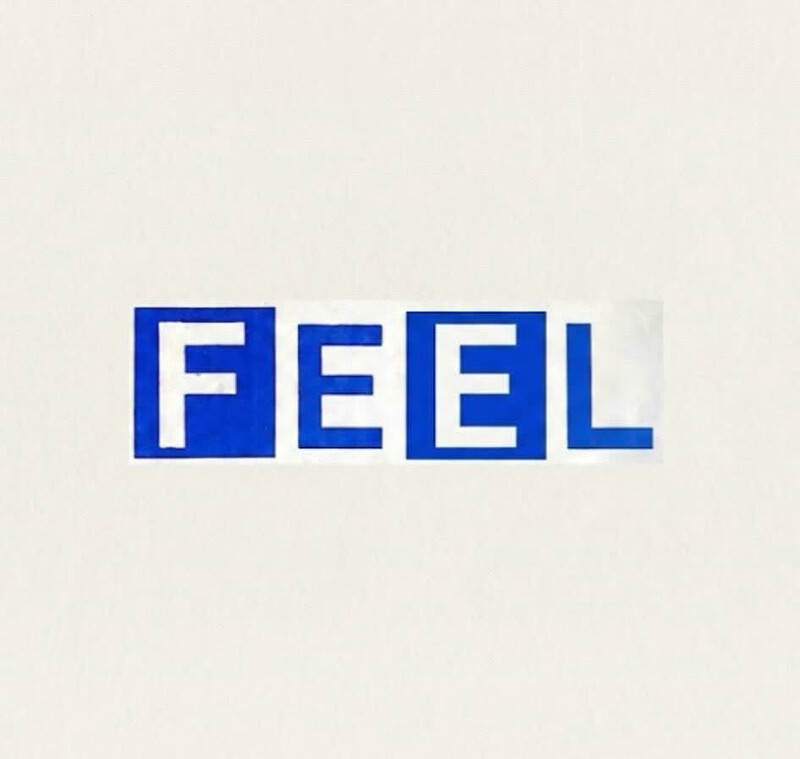 Feel + The Fallen Leaves at The Croft