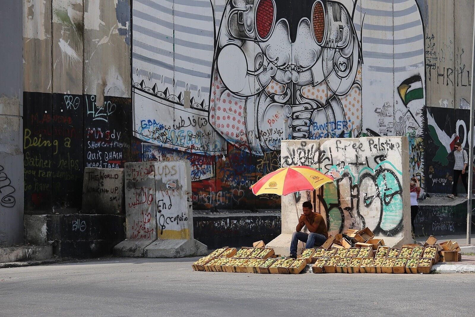 Palestine Through the Lens: Photography Exhibition at The Island