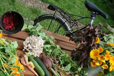 Herbs For A Healthy Life at The Trinity Centre