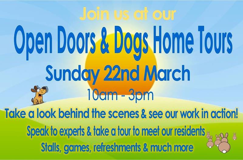 Open Doors And Dogs Home Tours at Rspca Bristol Branch