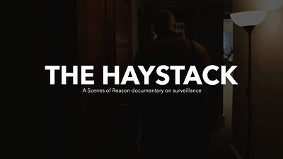 The Haystack film screening at Old Council Chamber, Wills Memorial Building