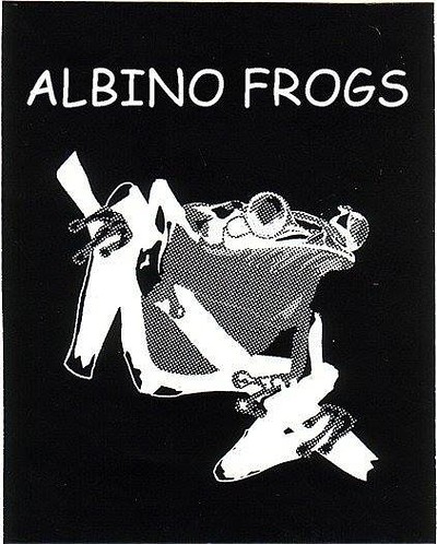 Albino Frogs at The Golden Lion