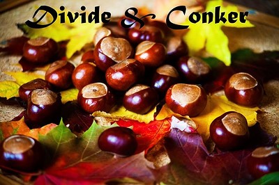 Divide and Conker at The Jam Jar Collective