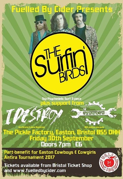 Surfin' Birds + IDestroy + Spanner at The Pickle Factory, Easton