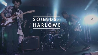 Sounds of Harlowe / The Scribes at The Golden Lion