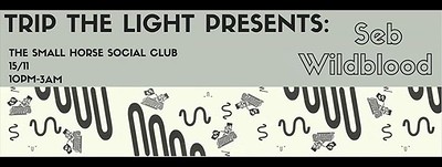 Trip The Light Presents Seb Wildblood at Small Horse Inn
