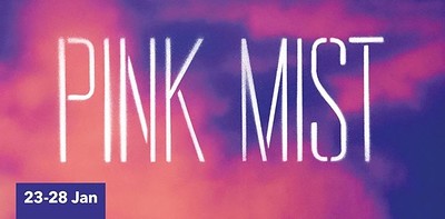 Pink Mist at Bristol Old Vic