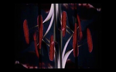 Eskeips Audio Visual + Ocean Floor & A/B at The Cube