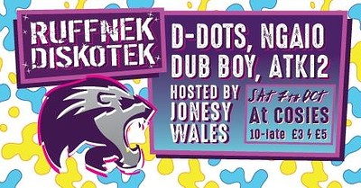 Ruffnek Diskotek ft D-Dots & Ngaio at Cosies