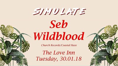 Simulate Presents: Seb Wildblood at The Love Inn