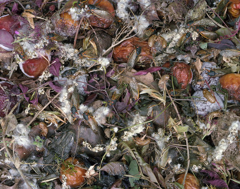 Decay at The Cube