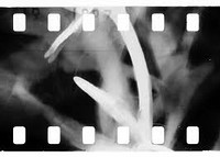 Analogue Film - workshops and screening at The Brunswick Club