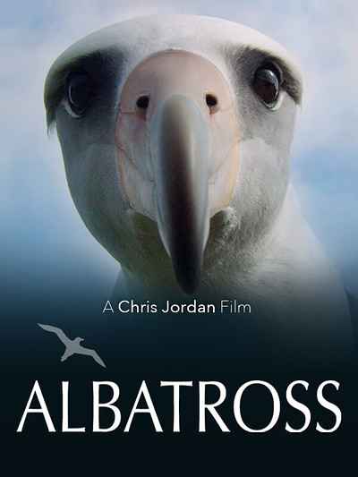 Wildlife Film at Alma Tavern and Theatre