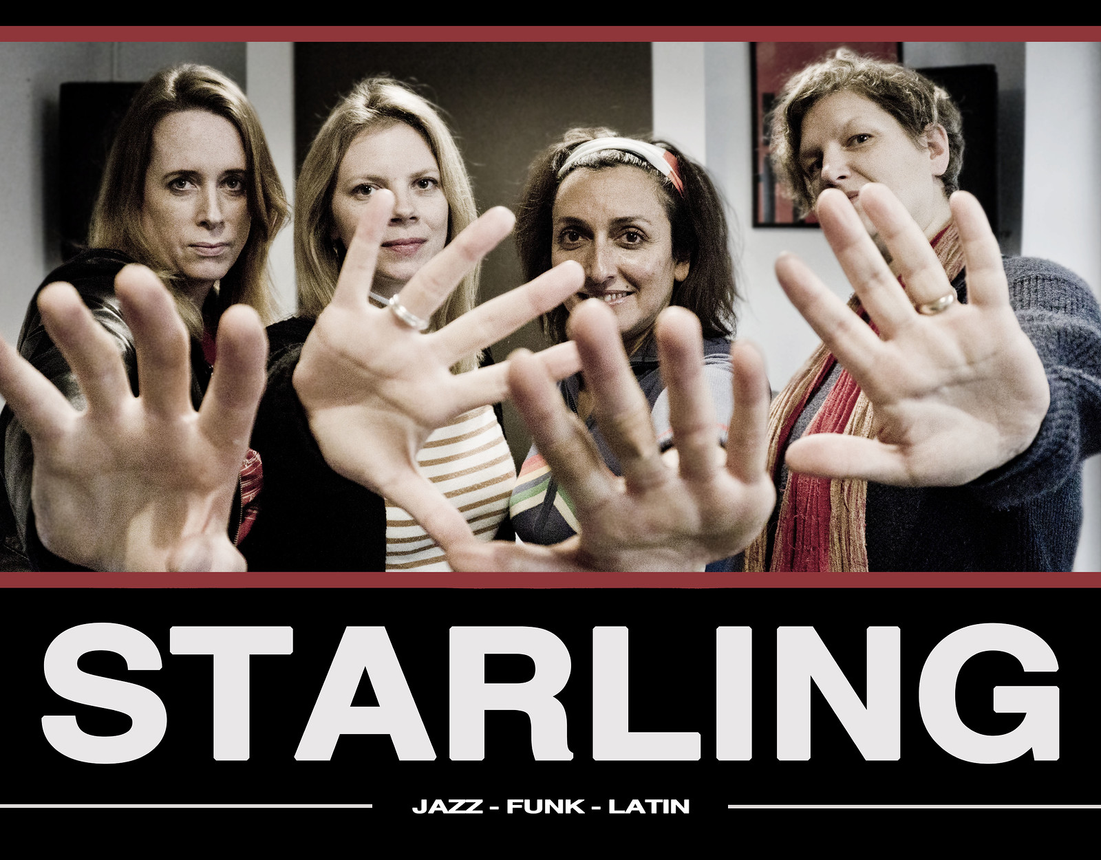 Starling at The Golden Lion