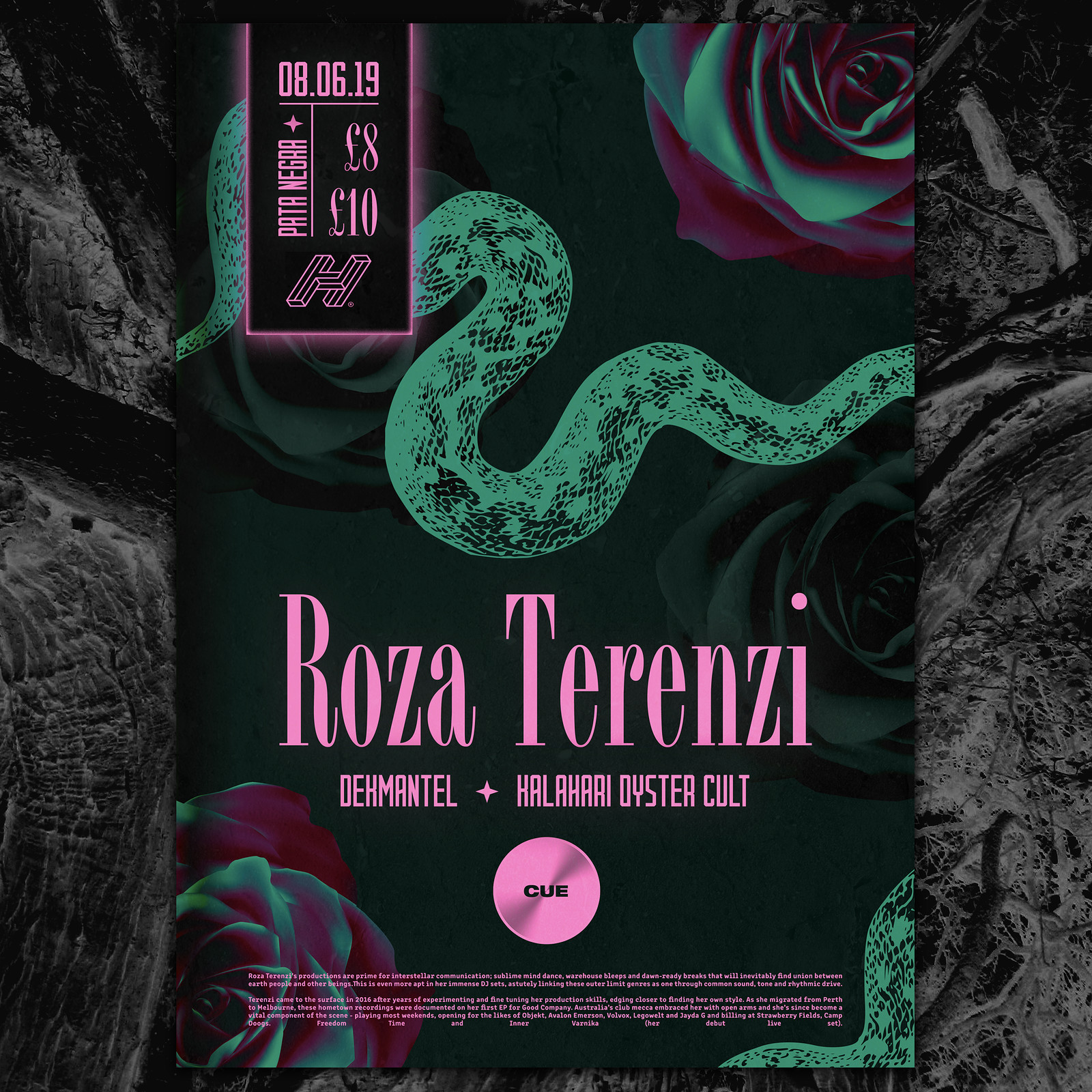 Cue Roza Terenzi at Pata Negra
