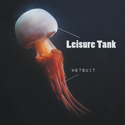 Psychadelephant // Leisure Tank // Asian Hawk at Mr Wolfs