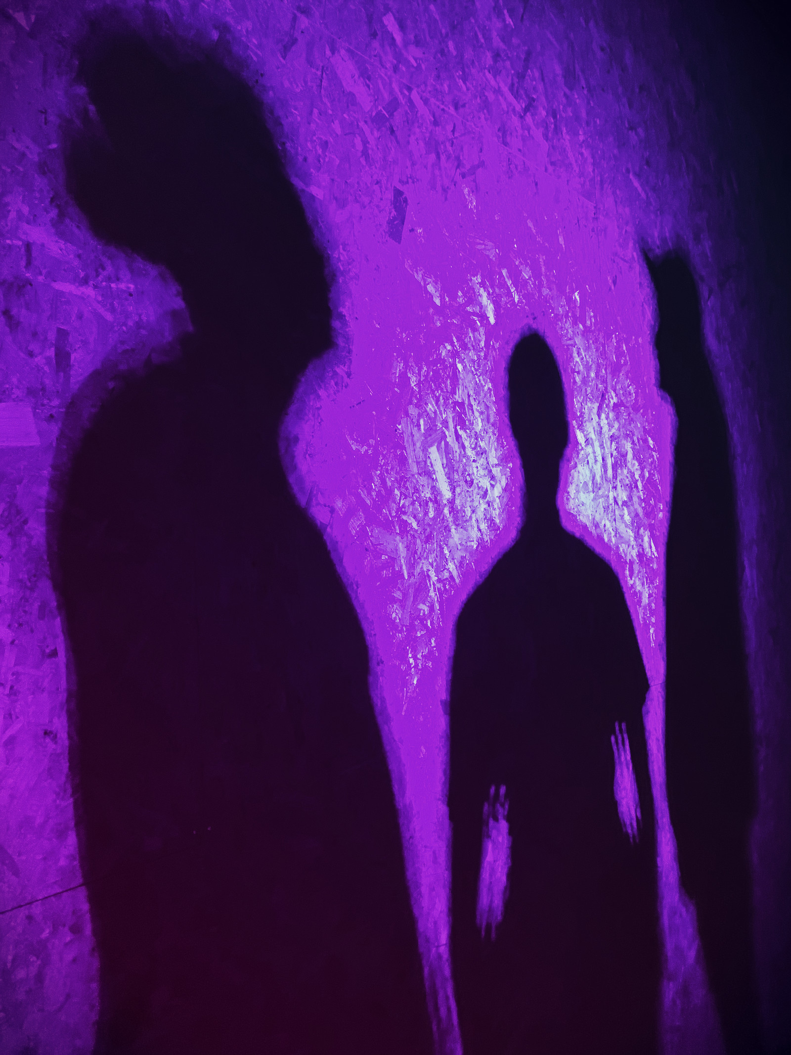 INTOKU  x Nederveen at Crofters Rights