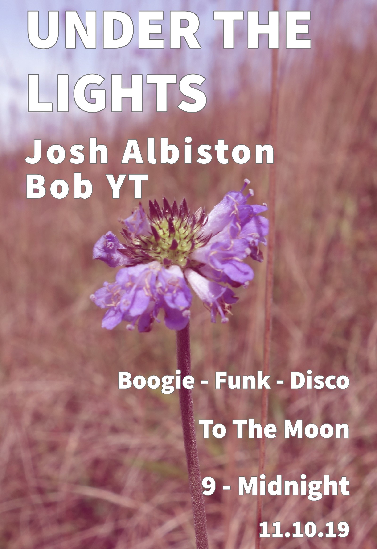 Under The Lights at To The Moon